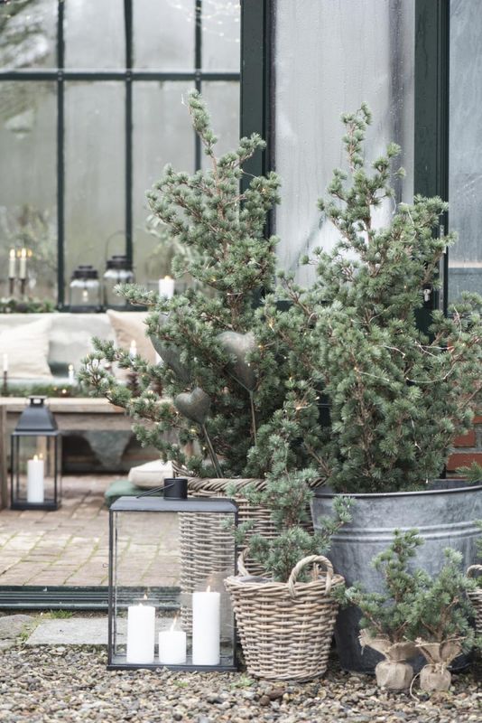 Sedertre med jutefot - 34 cm | IB Laursen