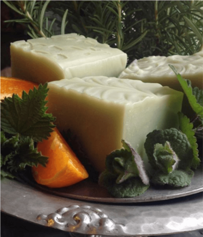 Sjampo med Nestle - Økologisk - Vegansk | Grims Have