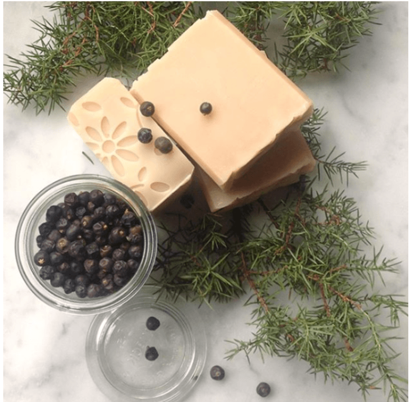 Sjampo med Einerlåg - Økologisk - Vegansk | Grims Have