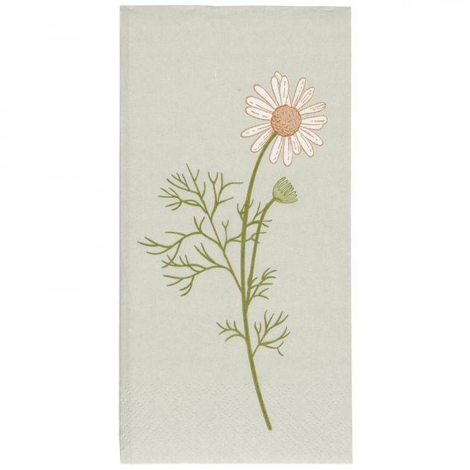 Hovedbilde Flora - Kamilleblomst | IB Laursen