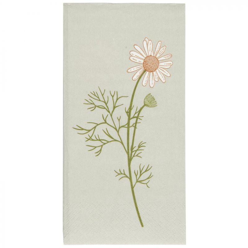 Flora - Kamilleblomst | IB Laursen